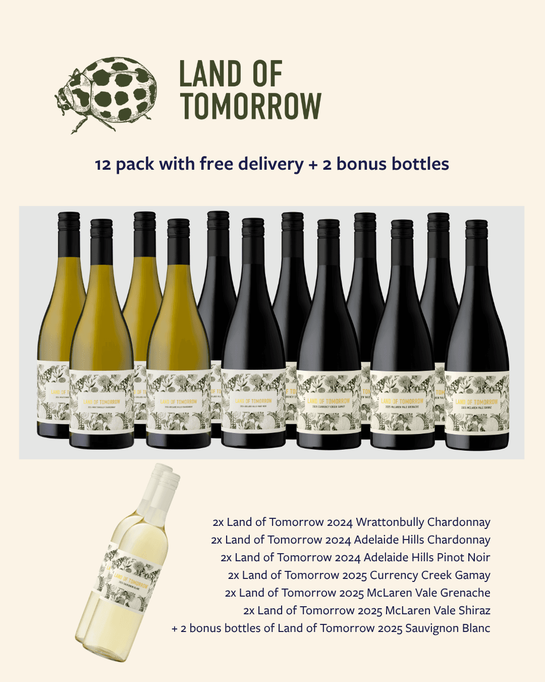 Wine subscription: Just a splash more 12 pack