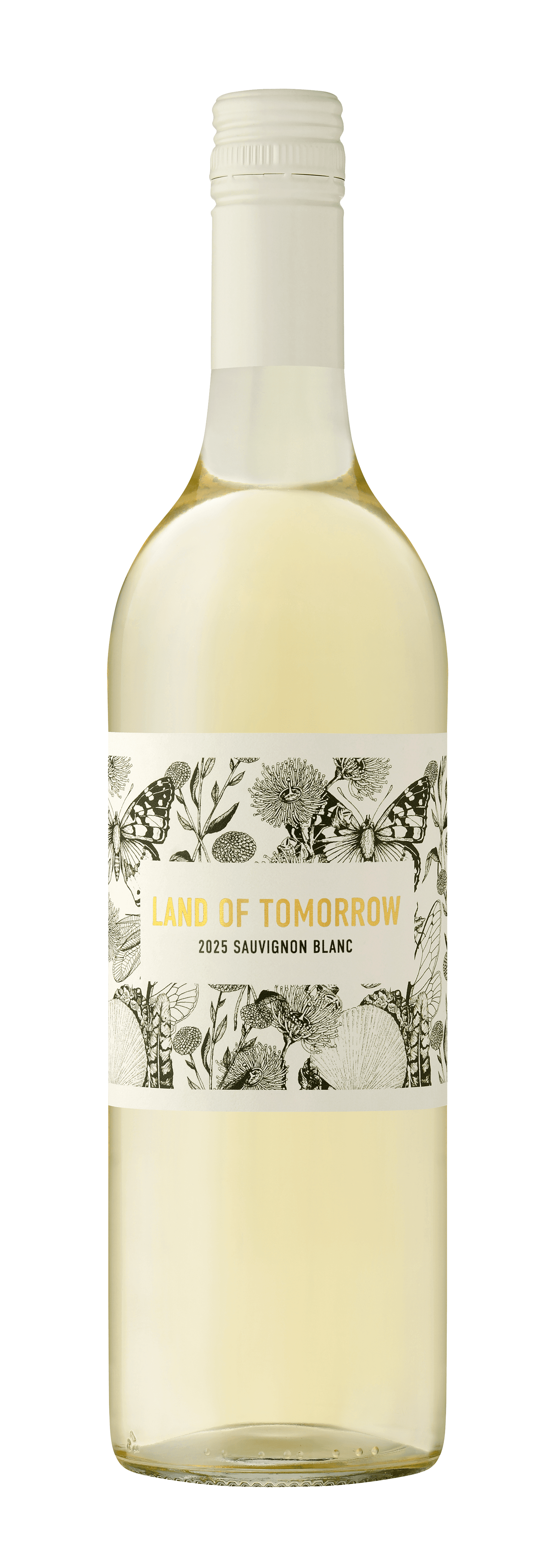 Finestro-Land of Tomorrow 2025 Sauvignon Blanc