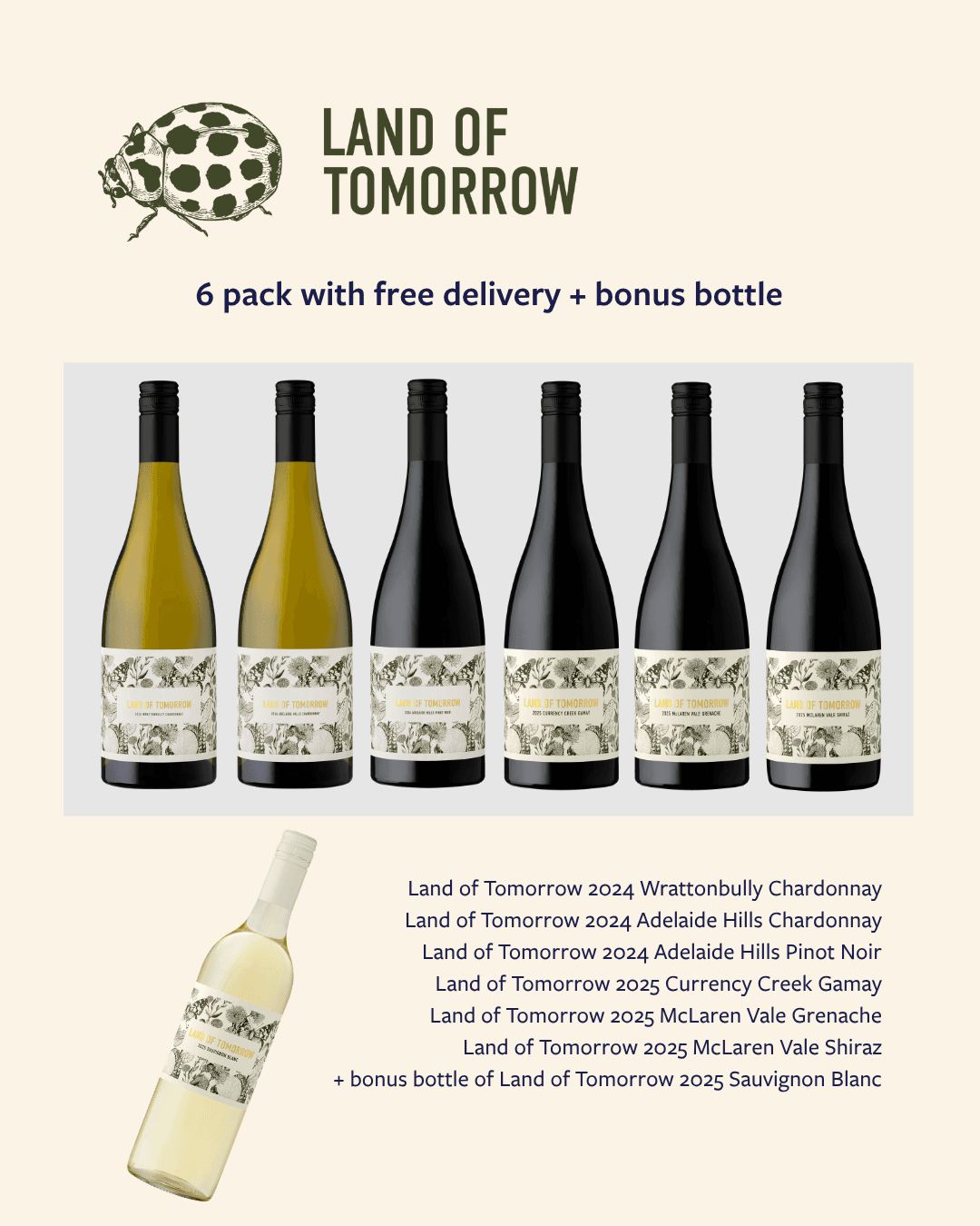 Wine subscription: Just a splash 6 pack