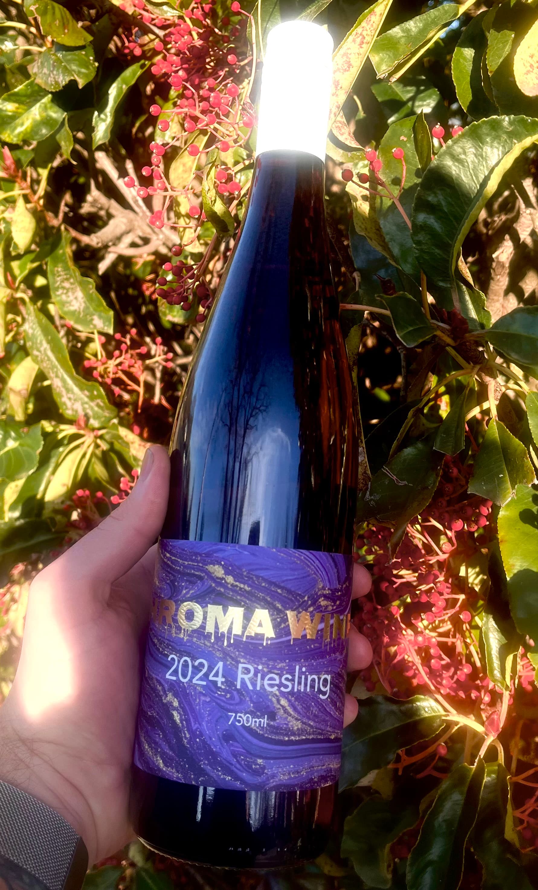 2024 Riesling 