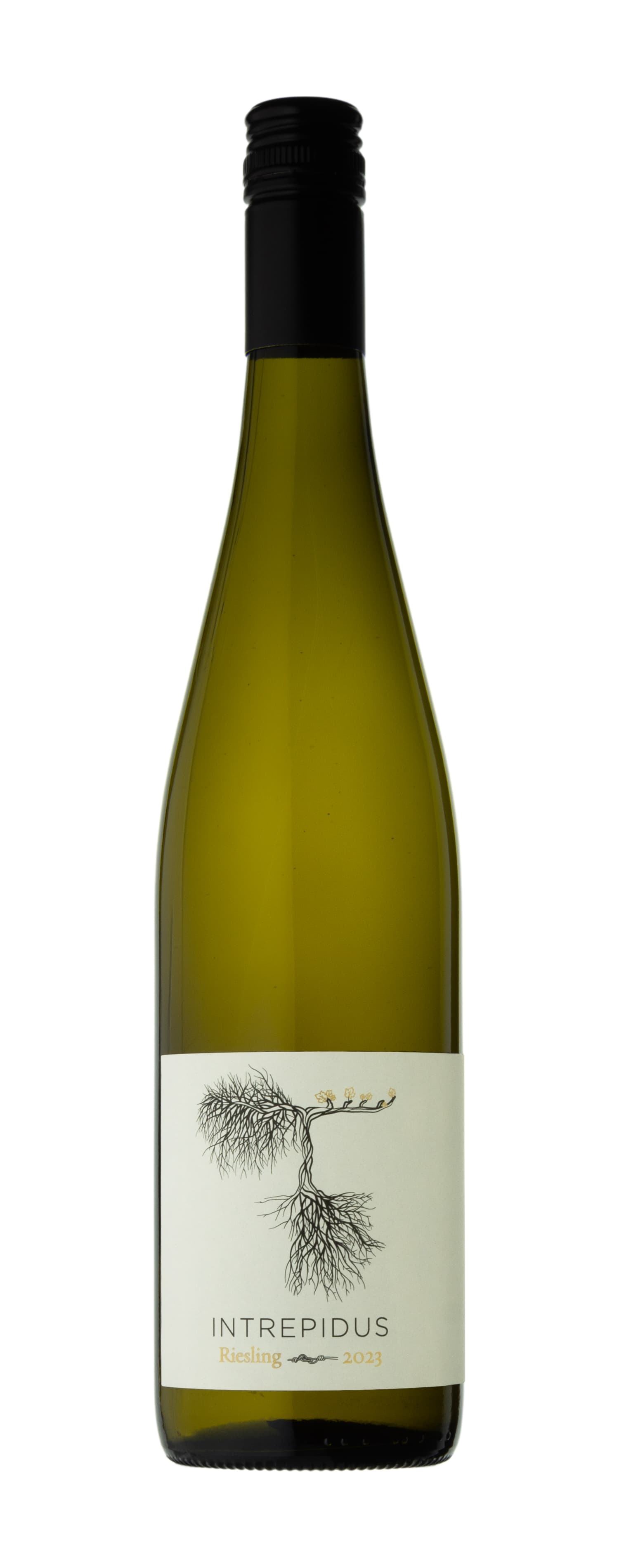 2023 Riesling