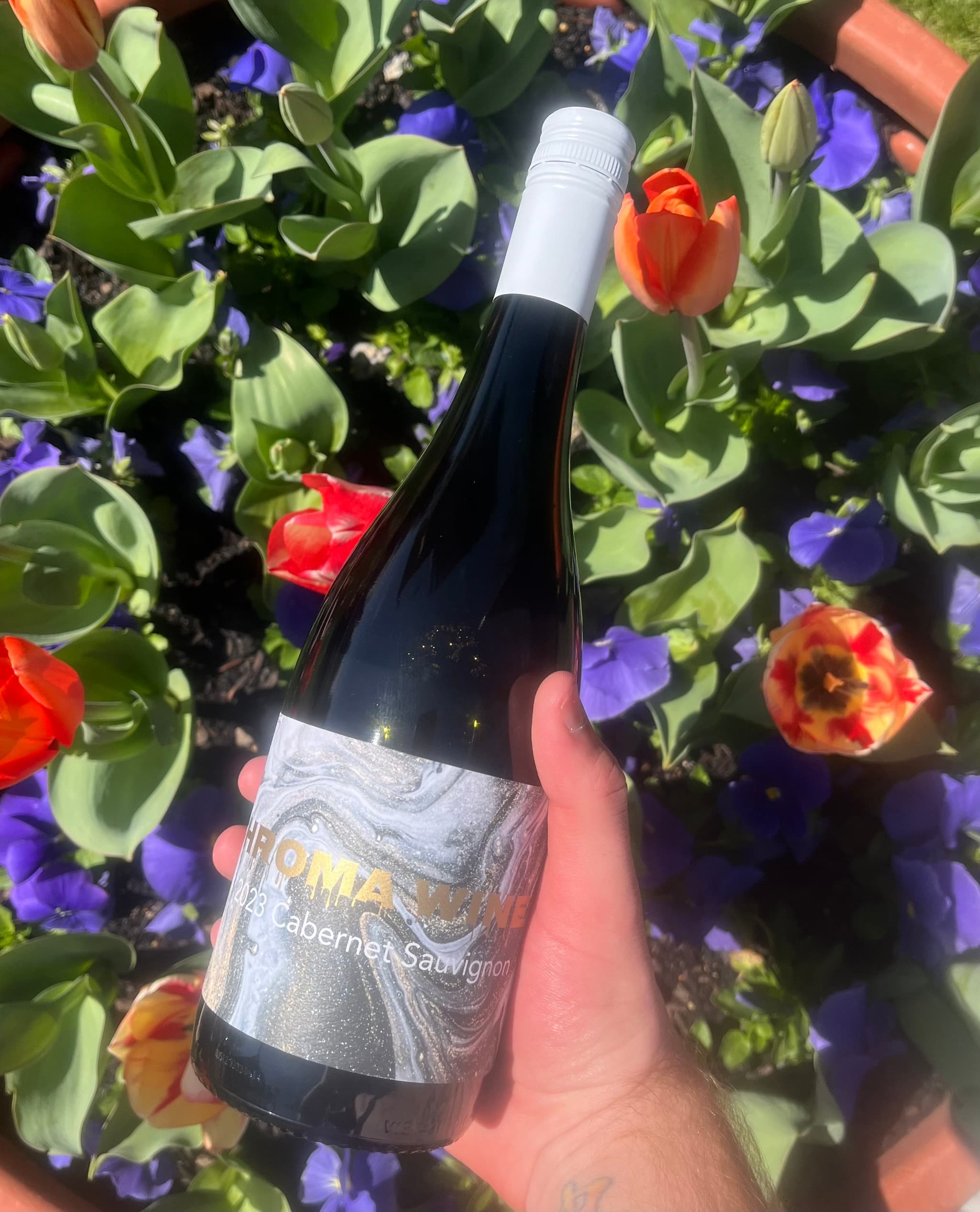 2023 Cabernet Sauvignon 
