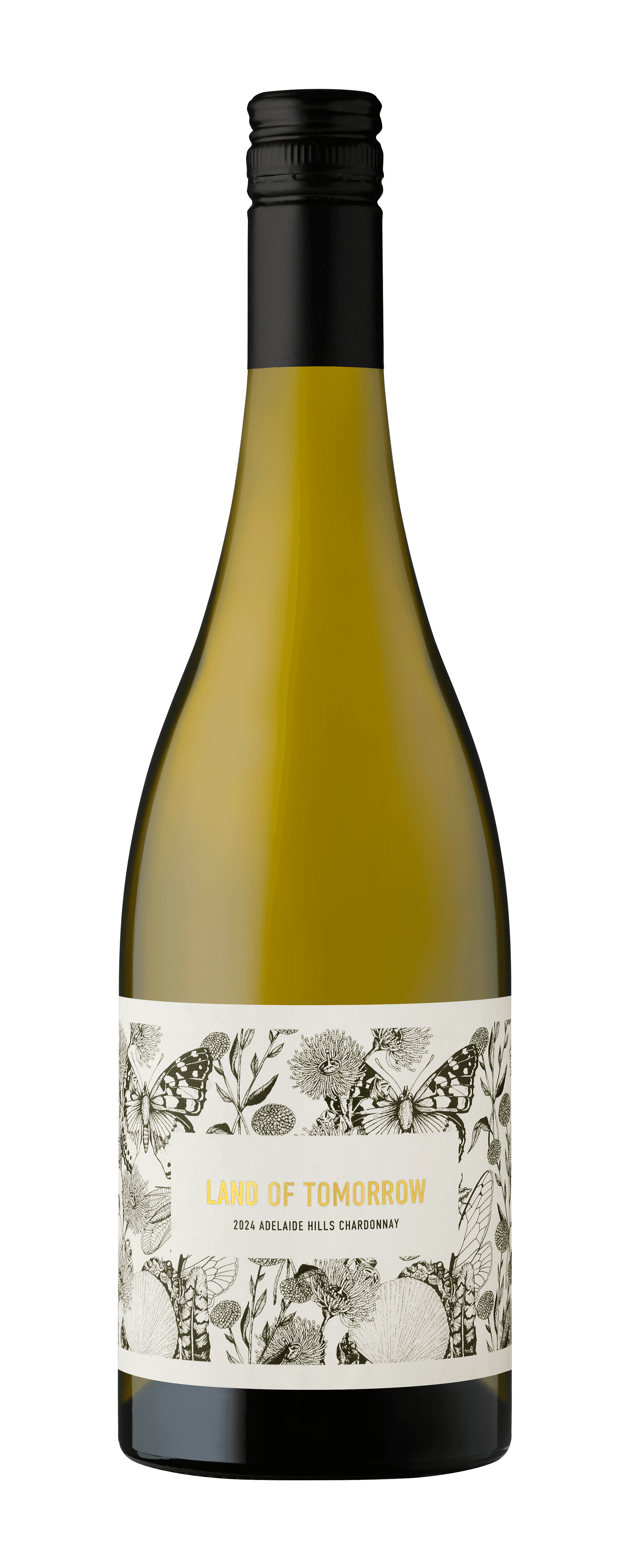 Finestro-Land of Tomorrow 2024 Adelaide Hills Chardonnay