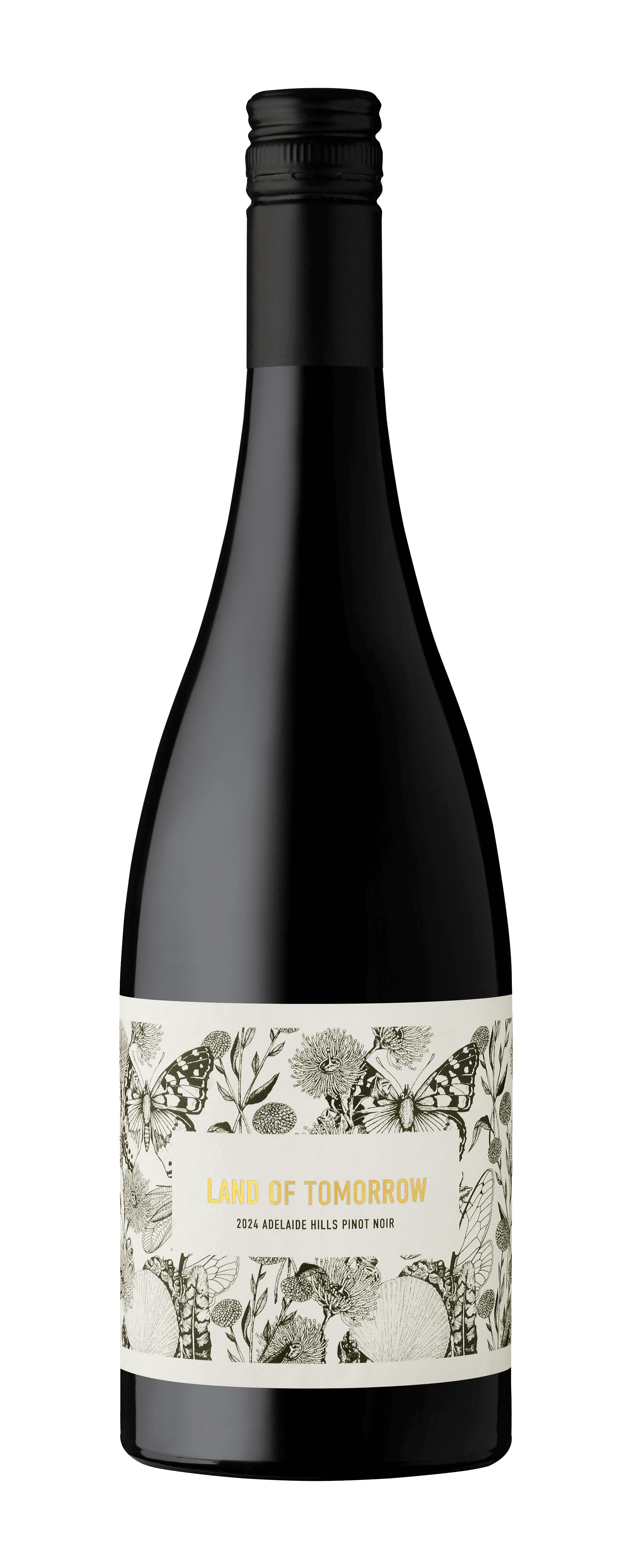 Finestro-Land of Tomorrow 2024 Adelaide Hills Pinot Noir