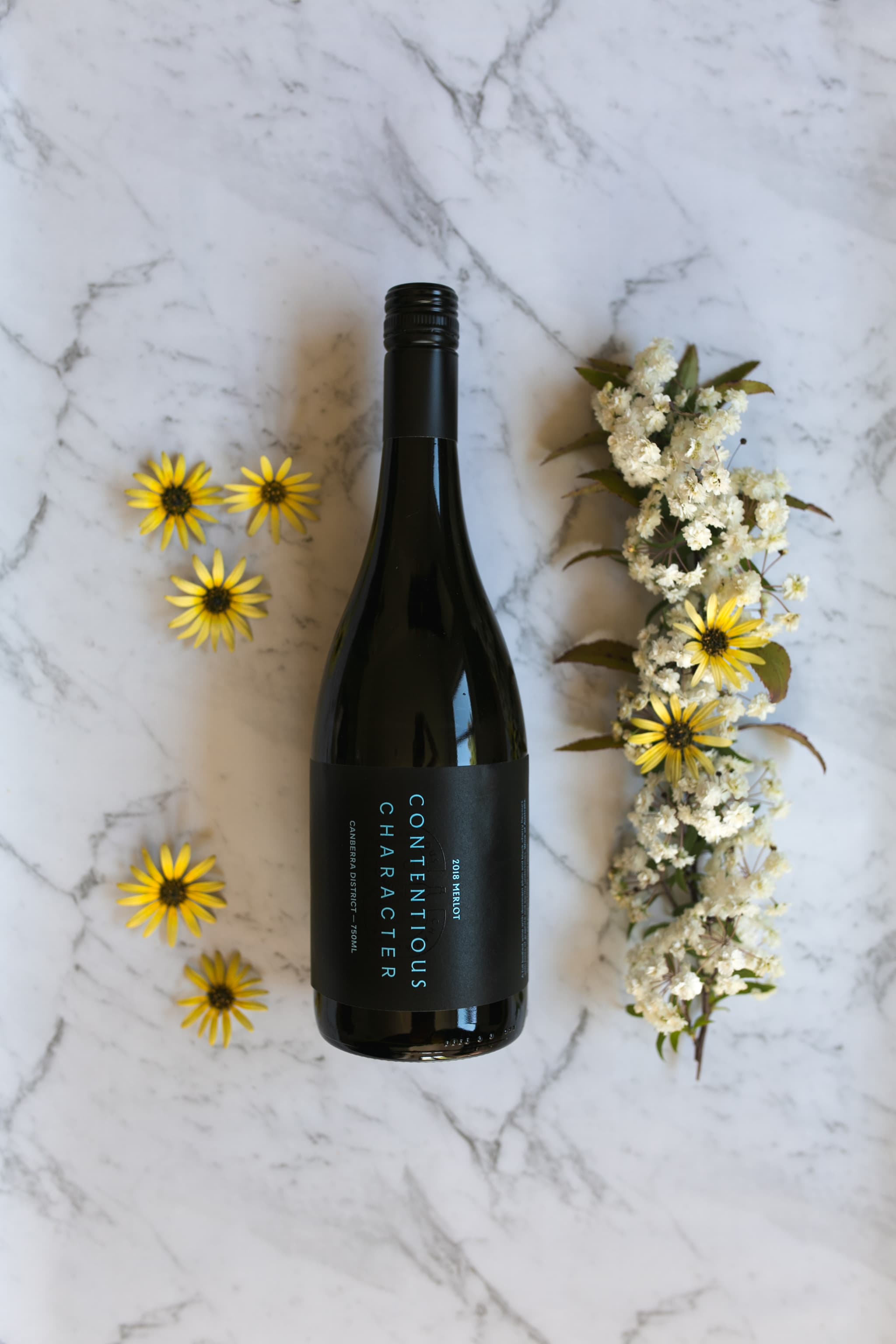 Finestro-Premium Merlot